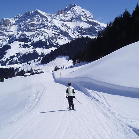 אדלבודן Hotel Des Alpes מראה חיצוני תמונה