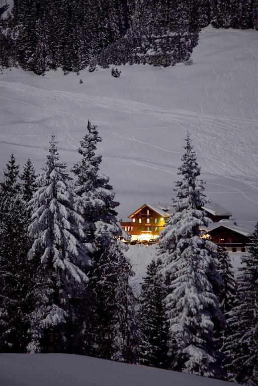 אדלבודן Hotel Des Alpes מראה חיצוני תמונה