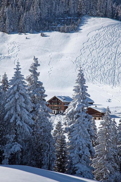 אדלבודן Hotel Des Alpes מראה חיצוני תמונה
